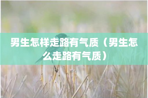 男生怎样走路有气质（男生怎么走路有气质）