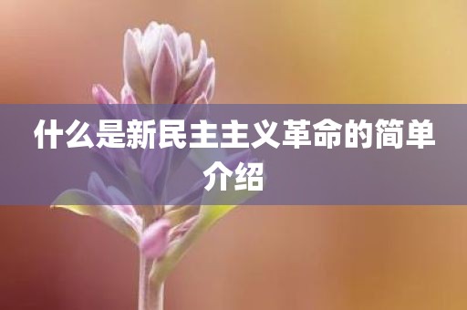 什么是新民主主义革命的简单介绍