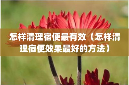 怎样清理宿便最有效（怎样清理宿便效果最好的方法）