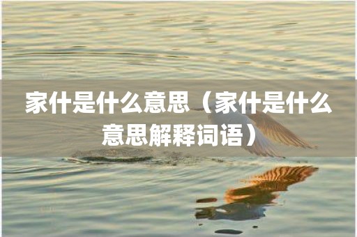 家什是什么意思（家什是什么意思解释词语）
