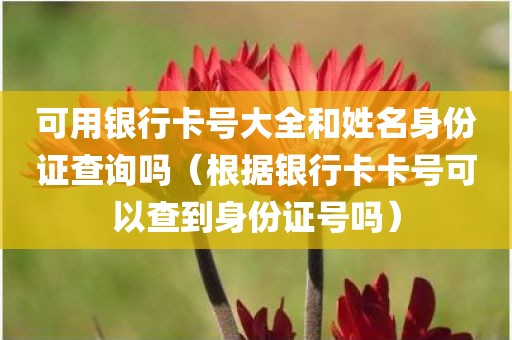 可用银行卡号大全和姓名身份证查询吗(根据银行卡卡号可以查到身份证号吗)