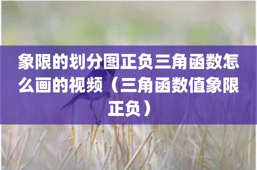 象限的划分图正负三角函数怎么画的视频（三角函数值象限正负）