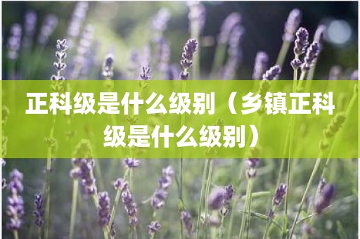 正科级是什么级别（乡镇正科级是什么级别）