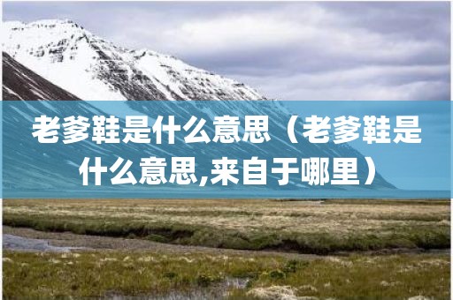 老爹鞋是什么意思（老爹鞋是什么意思,来自于哪里）