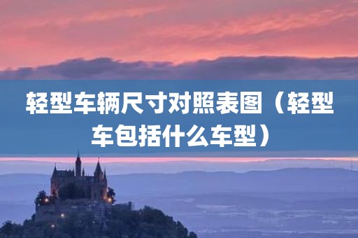 轻型车辆尺寸对照表图（轻型车包括什么车型）