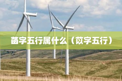菡字五行属什么（苡字五行）