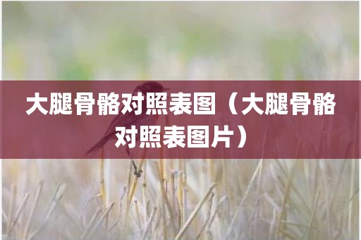 大腿骨骼对照表图（大腿骨骼对照表图片）