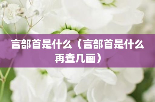言部首是什么（言部首是什么再查几画）