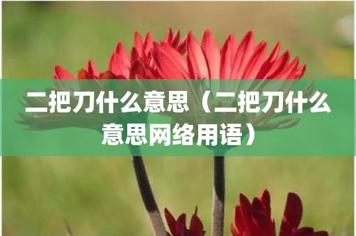 二把刀什么意思（二把刀什么意思网络用语）
