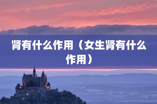 肾有什么作用（女生肾有什么作用）