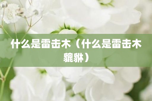 什么是雷击木（什么是雷击木貔貅）
