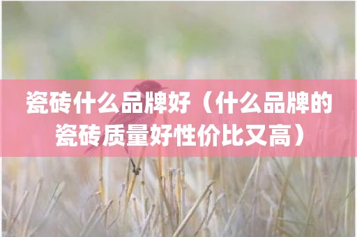 瓷砖什么品牌好（什么品牌的瓷砖质量好性价比又高）