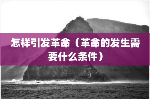 怎样引发革命(革命的发生需要什么条件) 怎样引发革命(革命的发生需要什么条件)