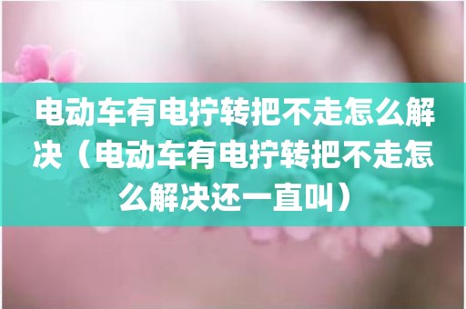电动车有电拧转把不走怎么解决（电动车有电拧转把不走怎么解决还一直叫）