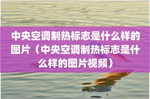 中央空调制热标志是什么样的图片（中央空调制热标志是什么样的图片视频）