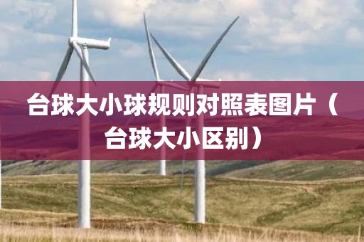 台球大小球规则对照表图片（台球大小区别）