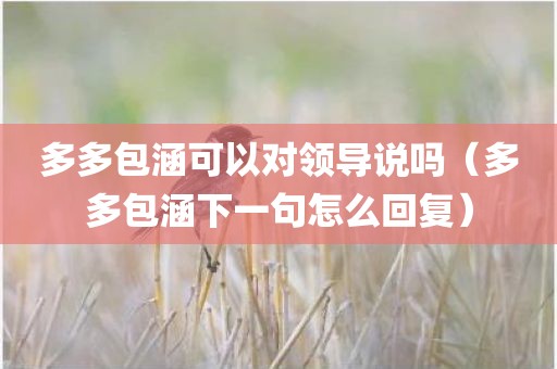 多多包涵可以对领导说吗（多多包涵下一句怎么回复）