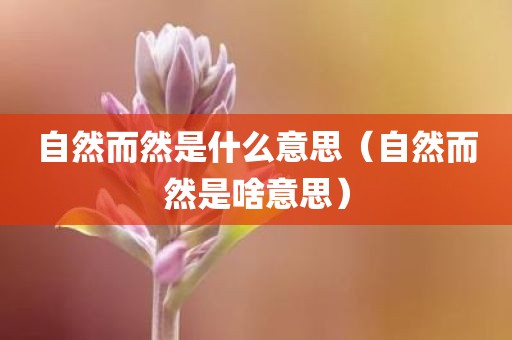 自然而然是什么意思（自然而然是啥意思）