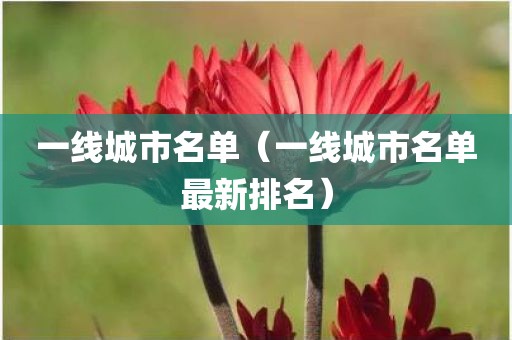 一线城市名单（一线城市名单最新排名）
