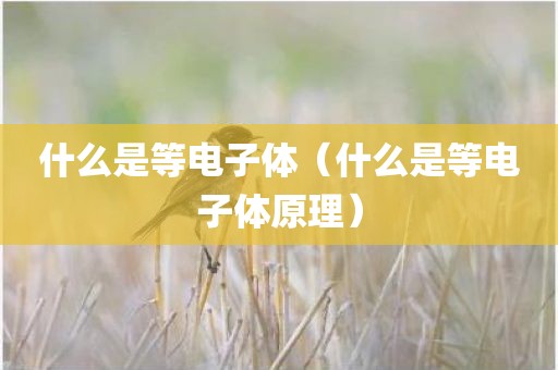 什么是等电子体（什么是等电子体原理）