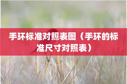 手环标准对照表图（手环的标准尺寸对照表）