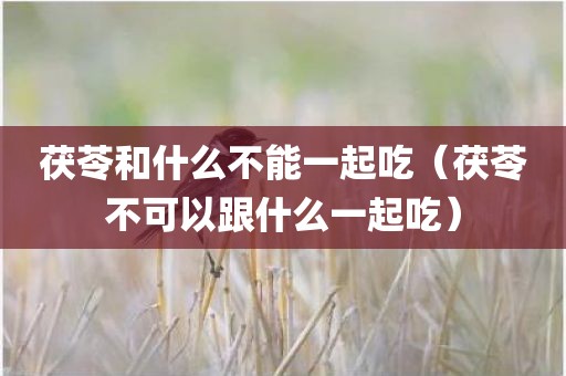 茯苓和什么不能一起吃（茯苓不可以跟什么一起吃）