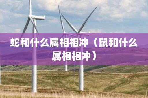 蛇和什么属相相冲（鼠和什么属相相冲）