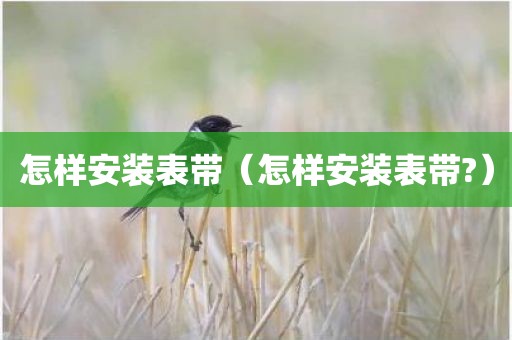 怎样安装表带（怎样安装表带?）