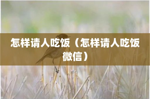 怎样请人吃饭（怎样请人吃饭微信）