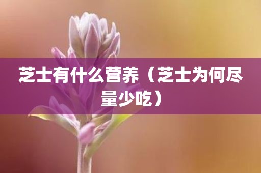 芝士有什么营养(芝士为何尽量少吃) 芝士有什么营养(芝士为何尽量少吃)