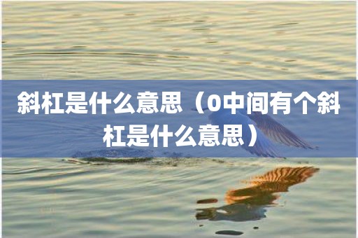 斜杠是什么意思（0中间有个斜杠是什么意思）