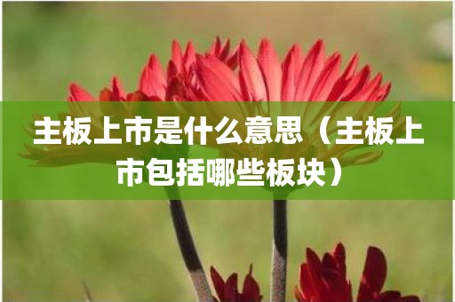 主板上市是什么意思(主板上市包括哪些板块) 主板上市是什么意思(主板上市包括哪些板块)
