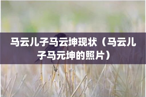 马云儿子马云坤现状（马云儿子马元坤的照片）