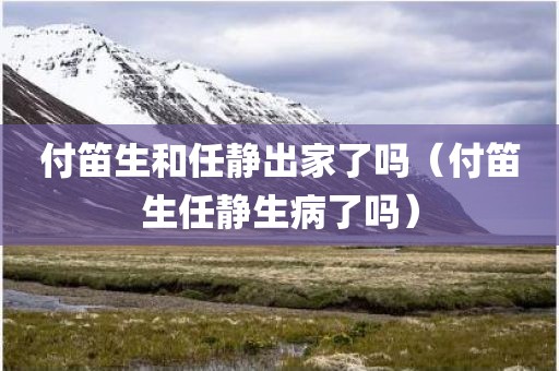 付笛生和任静出家了吗（付笛生任静生病了吗）