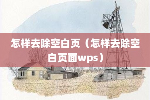 怎样去除空白页（怎样去除空白页面wps）