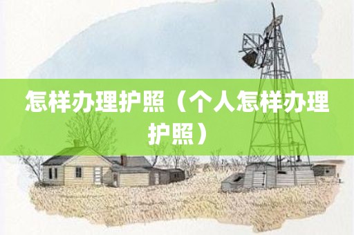 怎样办理护照（个人怎样办理护照）