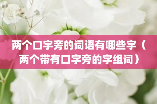 两个口字旁的词语有哪些字（两个带有口字旁的字组词）
