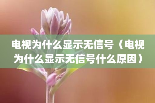 电视为什么显示无信号(电视为什么显示无信号什么原因)
