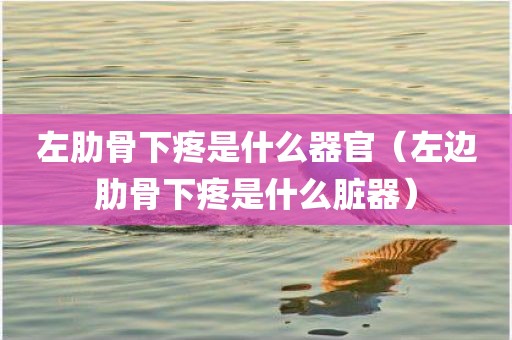 左肋骨下疼是什么器官（左边肋骨下疼是什么脏器）