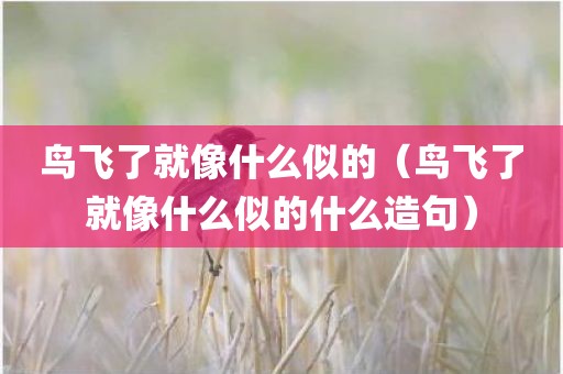鸟飞了就像什么似的（鸟飞了就像什么似的什么造句）