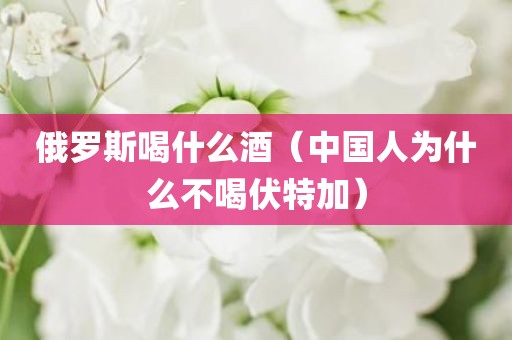 俄罗斯喝什么酒（中国人为什么不喝伏特加）