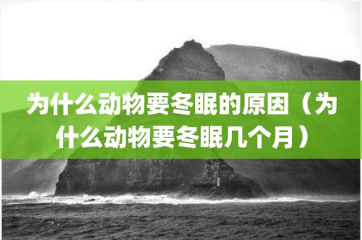 为什么动物要冬眠的原因（为什么动物要冬眠几个月）