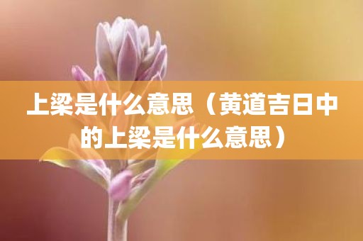 上梁是什么意思（黄道吉日中的上梁是什么意思）
