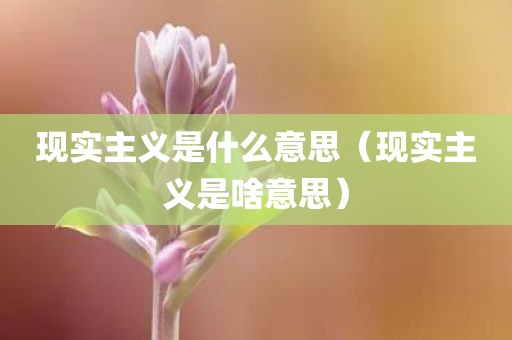 现实主义是什么意思（现实主义是啥意思）