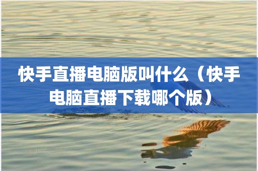 快手直播电脑版叫什么（快手电脑直播下载哪个版）