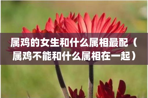 属鸡的女生和什么属相最配（属鸡不能和什么属相在一起）