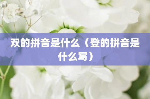 双的拼音是什么（登的拼音是什么写）