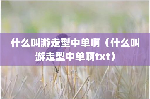 什么叫游走型中单啊(什么叫游走型中单啊txt)