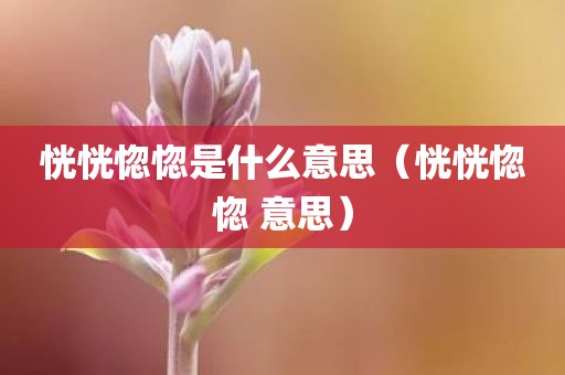 恍恍惚惚是什么意思（恍恍惚惚 意思）