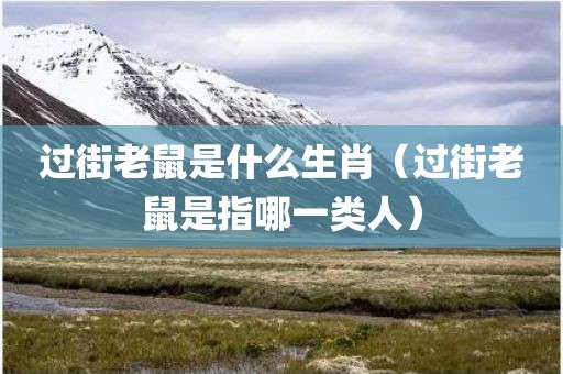 过街老鼠是什么生肖（过街老鼠是指哪一类人）